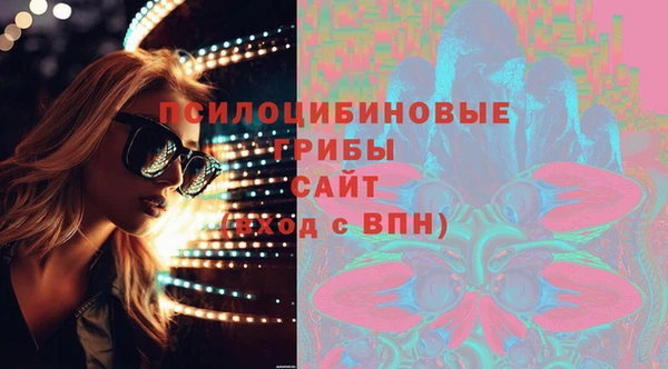 сатива Вуктыл