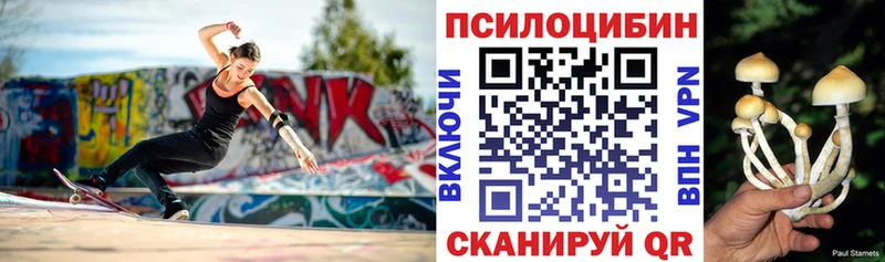Псилоцибиновые грибы MAGIC MUSHROOMS  Власиха 